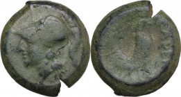 Greek Italy. Samnium, Southern Latium and Northern Campania, Cales. AE 19 mm. After 268 BC. Obv. Head of Athena, left. Rev. Cock standing right, star ...