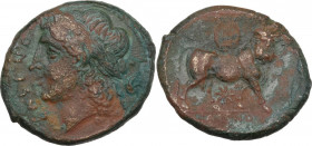 Greek Italy. Samnium, Southern Latium and Northern Campania, Cales. AE 22 mm, c. 265-240 BC. Obv. Laureate head of Apollo left; behind, aphlaston. Rev...
