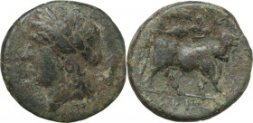 Greek Italy. Samnium, Southern Latium and Northern Campania, Cales. AE 20 mm, c. 265-240 BC. Obv. Laureate head of Apollo left. Rev. Man-headed bull s...
