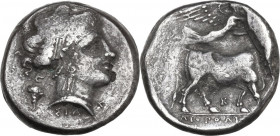 Greek Italy. Central and Southern Campania, Neapolis. AR Didrachm, c. 320-300 BC. Obv. Head of nymph right; grape bunch behind; ΣTA below. Rev. Man-he...