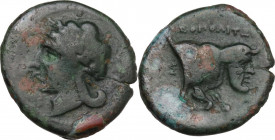 Greek Italy. Central and Southern Campania, Neapolis. AE 16 mm, c. 300-275 BC. Obv. Laureate head of Apollo left. Rev. Forepart of man-faced bull righ...