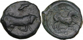 Greek Italy. Northern Apulia, Arpi. AE Unit, c. 275-250 BC. Obv. Bull right. Rev. Horse right. HN Italy 645. AE. 7.20 g. 20.50 mm. VF.