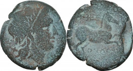 Greek Italy. Northern Apulia, Salapia. AE Unit, c. 225-210 BC. Obv. Head of Apollo right. Rev. Horse right. HN Italy 692. AE. 7.10 g. 22.00 mm.