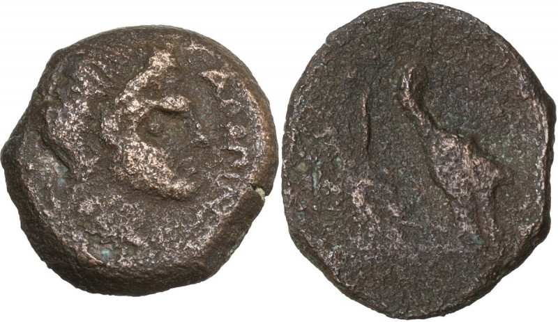 Greek Italy. Northern Apulia, Salapia. AE 16mm. Obv. Head of young Pan right. Re...