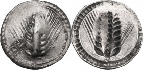 Greek Italy. Southern Lucania, Metapontum. AR Nomos, c. 540-510 BC. Obv. Ear of barley. Rev. Incuse ear of barley. HN Italy 1459. AR. 8.10 g. 28.00 mm...