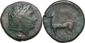 Greek Italy. Bruttium, Nuceria. AE 23 mm, c. 225-200(?) BC. Obv. Laureate head of Apollo right. Rev. Horse standing left; pentagram below. HN Italy 24...
