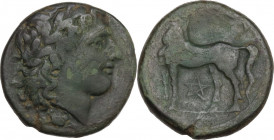 Greek Italy. Bruttium, Nuceria. AE 21 mm, 225-200 BC. Obv. Head of Apollo right, laureate; below, crab. Rev. Horse standing left; below, pentagram. HN...