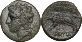 Sicily. Akragas. Phintias, Tyrant (287-279 BC). AE 20.5 mm. c. 282-279 BC. Obv. Wreathed head of Apollo (or Akragas) left. Rev. Boar charging left. HG...