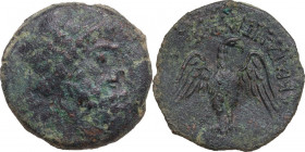 Sicily. Akragas. AE 23 mm. 213-210 BC. Obv. Laureate head of Zeus right. Rev. Eagle standing facing, head right, wings spread, on thunderbolt. CNS I 1...