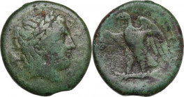 Sicily. Messana. The Mamertinoi. AE 29 mm, c. 264-241 BC. Obv. Laureate head of Ares right. Rev. Eagle standing left on thunderbolt, wings spread. HGC...