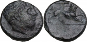 Sicily. Syracuse. Agathokles (317-289 BC). AE 17 mm. c. 310-304 BC. Obv. Head of young male right, diademed. Rev. Lion standing right; above, club. SN...