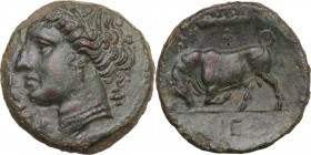 Sicily. Syracuse. Hieron II (275-215 BC). AE 20 mm. c. 275-269 BC. Obv. Head of Kore left, wearing wreath of grain ears, earring and necklace. Rev. Bu...