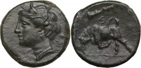 Sicily. Syracuse. Hieron II (274-215 BC). AE 17 mm. c. 275-269/265 BC. Obv. Head of Persephone left. Rev. Bull butting left; above, club. CNS II 192; ...