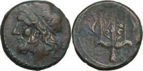 Sicily. Syracuse. Hieron II (274-215 BC). AE 19.5 mm. c. 240-215 BC. Obv. Diademed head of Poseidon left. Rev. Ornamented trident head flanked by two ...