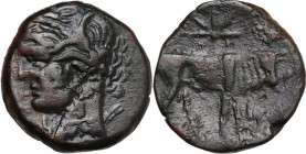 Punic Sardinia. AE 18 mm. c. 241-238/215 BC. Obv. Wreathed head of Kore left. Rev. Bull standing right; above, star. Lulliri pl. 20, 376(381; Piras 18...