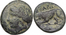 Continental Greece. Thrace, Kardia. AE 20 mm, 350-309 BC. Obv. Head of Persephone left, wearing wreath of grain ears. Rev. Lion walking left, holding ...
