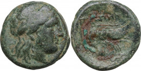 Greek Asia. Mysia, Priapos. AE 19 mm, 3rd century BC. Obv. Laureate head of Apollo right. Rev. Crayfish. SNG Cop. 548. AE. 5.28 g. 19.00 mm. Green pat...