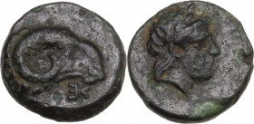 Greek Asia. Troas, Kebren. AE 9,50 mm. 4th century BC. Obv. Head of ram, right. Rev. Laureate head of Apollo, right. SNG Arikantürk 406-8; SNG Cop. 26...