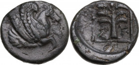 Greek Asia. Troas, Skepsis. AE 16 mm, 4th century BC. Obv. Forepart of Pegasos right. Rev. Fir tree. SNG Cop. 474. AE. 3.54 g. 16.00 mm. VF.