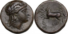 Greek Asia. Seleucid Kings. Achaios (Usurper, 220-214 BC). AE 16 mm. Obv. Laureate head of Apollo right. Rev. Horse prancing left. AE. 3.44 g. 16.00 m...