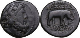 Greek Asia. Syria, Seleukis and Pieria Apameia. AE 21mm, 170 BC. Obv. Head of Zeus (?) right, diademed. Rev. Elephant right. BMC 5. AE. 6.68 g. 21.50 ...