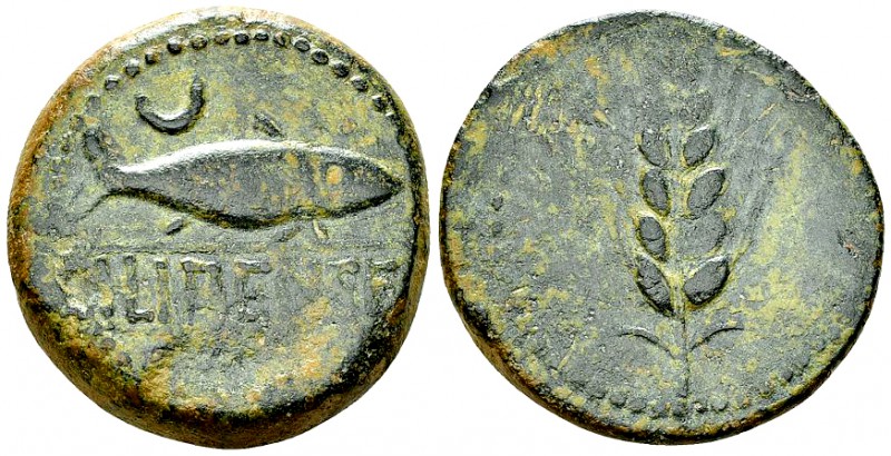 Ilipense AE32, c. 150-100 BC 

 Iberia, Ilipense. AE32 (18.90 g), c. 150-100 B...