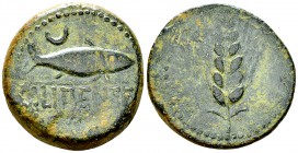 Ilipense AE32, c. 150-100 BC 

 Iberia, Ilipense. AE32 (18.90 g), c. 150-100 BC.
Obv. ILIPENSE, Fish to right; crescent above.
Rev. Grain ear.
SN...