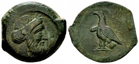 Lokroi Epizephyrioi AE22, c. 350-325 BC 

Bruttium, Lokroi Epizephyrioi. AE22 (11.02 g), c. 350-325 BC.
Obv. Laureate head of Zeus right.
Rev. Eag...