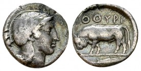 Thurium AR Diobol, c. 443-400 BC, rare 

Lucania, Thurium . AR Diobol (11 mm, 1.17 g), c. 443-400.
Obv. Head of Athena right, wearing crested helme...