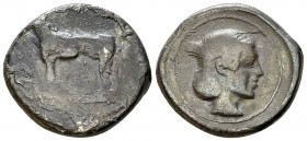 Segesta AR Didrachm, c. 440-420 BC 

Sicily, Segesta . AR Didrachm (8.47 g), c. 440-420 BC.
Obv. Hound standing to left.
 Rev. Head of nymph right...