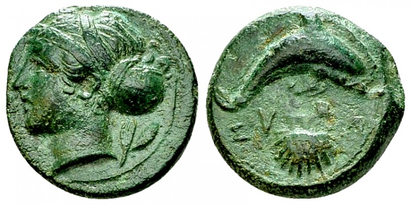 Syracuse AE Hemilitron, c. 400 BC 

 Sicily, Syracuse. AE Hemilitron (16 mm, 3...