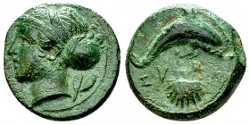 Syracuse AE Hemilitron, c. 400 BC 

 Sicily, Syracuse. AE Hemilitron (16 mm, 3.27 g), c. 400 BC. 
Obv. Head of Arethusa left, wearing single-pendan...