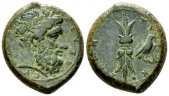 Syracuse AE Hemidrachm, c. 344-317 BC

Sicily, Syracuse . Time of Timoleon and the Third Democracy. AE Hemidrachm, c. 344-317 BC.
Obv. ΖΕΥΣ ΕΛΕΥΘΕΡ...