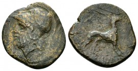 Argos Amphilochikon AE17, very rare 

Acarnania, Argos Amphilochikon. AE17 (3.43 g), 3rd century BC.
Obv. Helmeted and bearded head right.
Rev. [A...