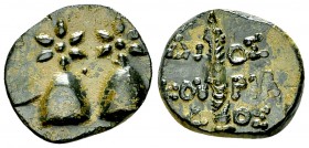 Dioskurias AE16, late 2nd century BC 

Kolchis, Dioskurias . AE16 (3.51 g), late 2nd century BC.
Obv. Caps of the Dioskouroi surmounted by stars.
...