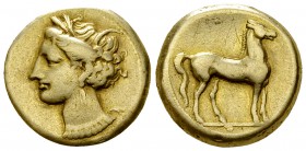 Carthage EL Stater, c. 310-290 BC 

 Carthage, Zeugitana. EL Stater (18-19 mm, 7.56 g), c. 310-290 BC.
Obv. Head of Tanit left, wearing grain wreat...