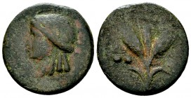 Iol AE20, 2nd century BC, extremely rare 

 Mauretania, Iol-Caesarea. AE20 (5.22 g), 2nd century BC.
Obv. Head of Isis left, with three spiral lock...