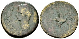 Augustus AE Dupondius, Colonia Patricia 

 Augustus (27 BC-14 AD). AE Dupondius (32-33 mm, 22.78 g), Colonia Patricia, Spain.
Obv. PERMISSV CA[ESAR...