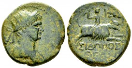 Traianus AE24, Sidon, very rare 

 Traianus (98-117 AD). AE24 (11.82 g), Phoenicia, Sidon. Dated CY 227 (=AD 116/117).
Obv. Radiate and draped bust...