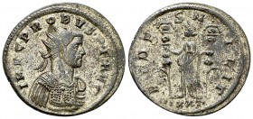 Probus Antoninianus, Ticinum mint 

 Probus (276-282). Silvered AE Antoninianus (24-25 mm, 3.87 g), Ticinum.
Obv. IMP C PROBVS P F AVG, Radiate and...