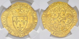 Charles VII, Ecu d'or 

France, Royaume. Charles VII (1422-1461). Ecu d'or.
Fr. 306.

NGC AU58.