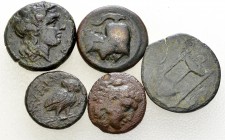 Lot of 5 Greek AE coins from Italy/Sicily 

 Lot of 5 (five) Greek AE coins from Southern Italy/Sicily : Neapolis, Metapontum, Heraclea (2), Selinos...
