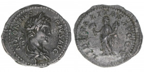 Caracalla 198-217
Römisches Reich - Kaiserzeit. Denar. LIBERALITAS AVG V
Rom
3,38g
Kampmann 51.67
ss+