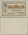 Deutschland - Notgeld - Hessen: Bingen, Kreis, 1 Billion Mark, 7.11.1923, nicht bei Keller, Erh. I
 [differenzbesteuert]