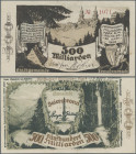 Deutschland - Notgeld - Württemberg: Freudenstadt und Baiersbronn, Stadtgemeinde und Gemeinde, 500 Mrd. Mark, November 1923, Erh. II, selten (Karau 6)...
