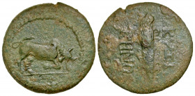 Mysia, Kyzikos. 2nd century B.C. AE 25 (24.9 mm, 5.79 g, 1 h). bull butting right within dotted border / ΚΥΞΙ[Ε] / ΚΗΝΩ[Ν], ethnic vertically downward...
