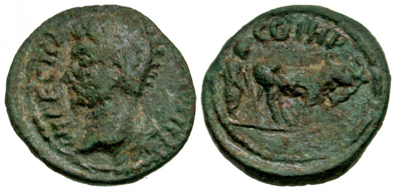 Mysia, Parium. Marcus Aurelius. A.D. 161-180. AE 17 (16.5 mm, 2.37 g, 7 h). Stru...