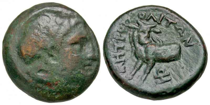 Mysia, Parium. Maximus. Caesar, A.D. 235-238. AE 17 (17.2 mm, 3.12 g, 7 h). IM C...