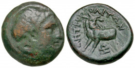Mysia, Parium. Maximus. Caesar, A.D. 235-238. AE 17 (17.2 mm, 3.12 g, 7 h). IM CAI MAXIMVS AV (or similar, patina blurs legends), laureate, draped and...