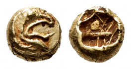 Ionia. Phokaia. 1/48 stater. 550-530 BC. (Bodenstedt-E1). (Rosen-332 var). Anv.: Head of griffin to right. Rev.: Irregular incuse punch. El. 0,33 g. R...